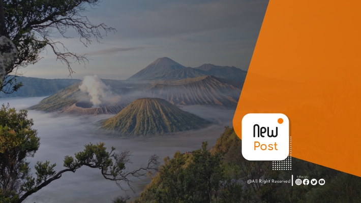 tessacansbromo artikel2