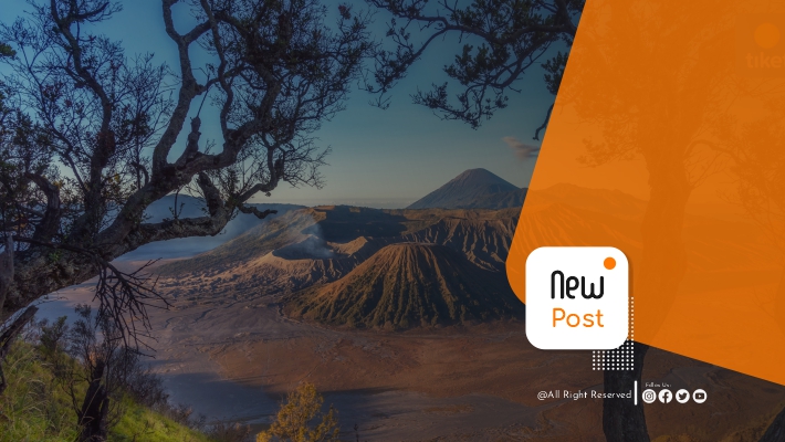 tessacansbromo artikel3