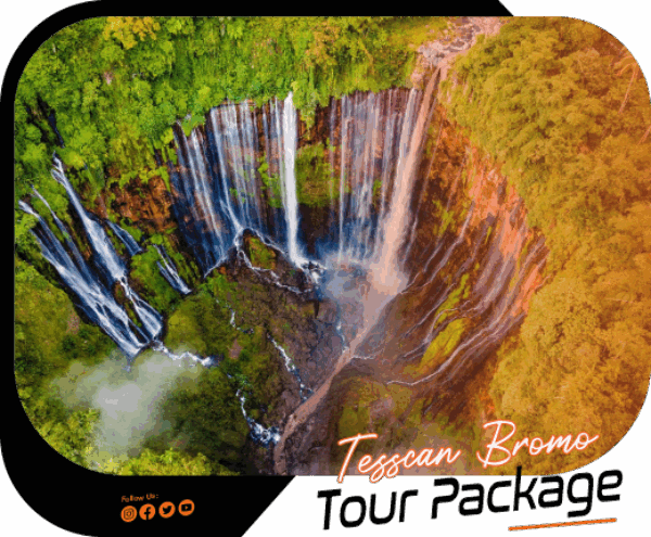 tessacansbromox s